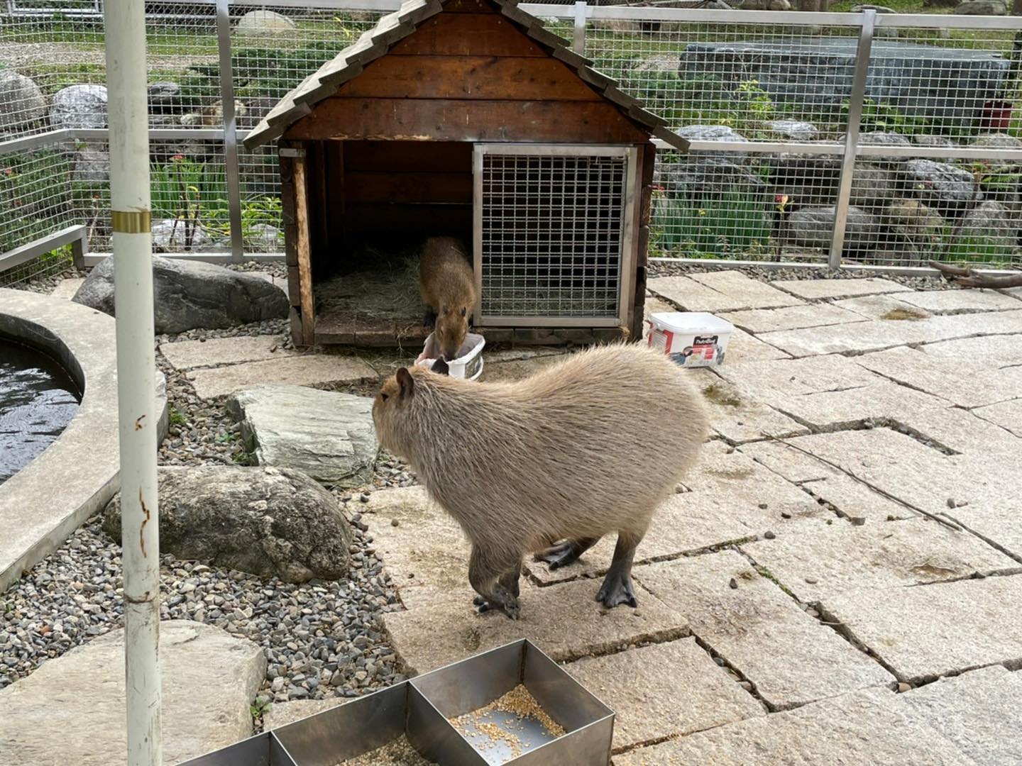 蘇家莊園：親子同樂的完美度假勝地
