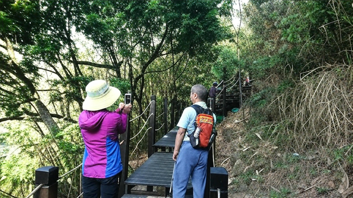 大坑步道｜你的登山健行最佳選擇