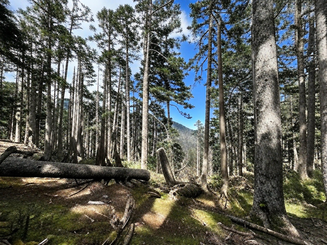 雪山主峰單攻：快速掌握登山秘訣與必備裝備