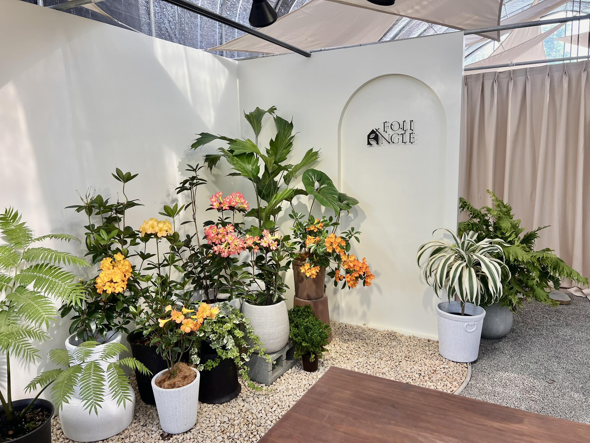 埔里最Chill農場景點!觀葉控的天堂你不能錯過