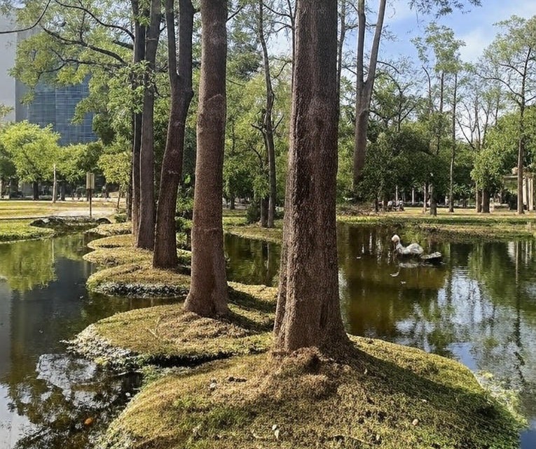 探索高雄秘境景點：揭開柴山、海蝕洞與忘憂森林的神秘面紗