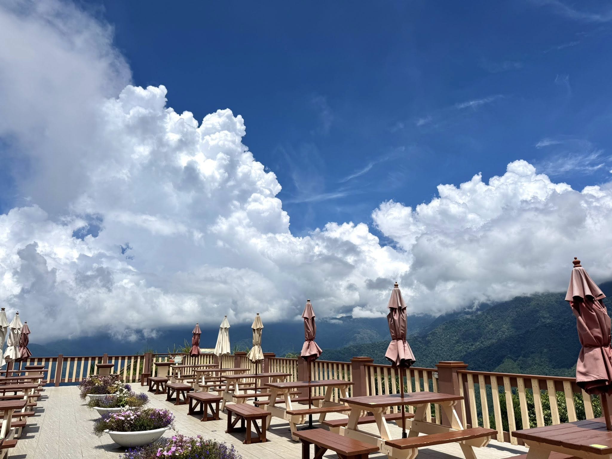 雪霸休閒農場旅遊攻略：找到完美的山中度假體驗