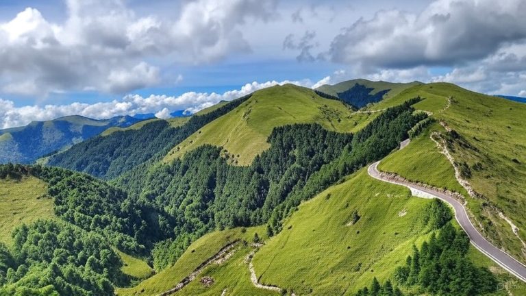 合歡山旅遊指南：必訪景點與美食介紹