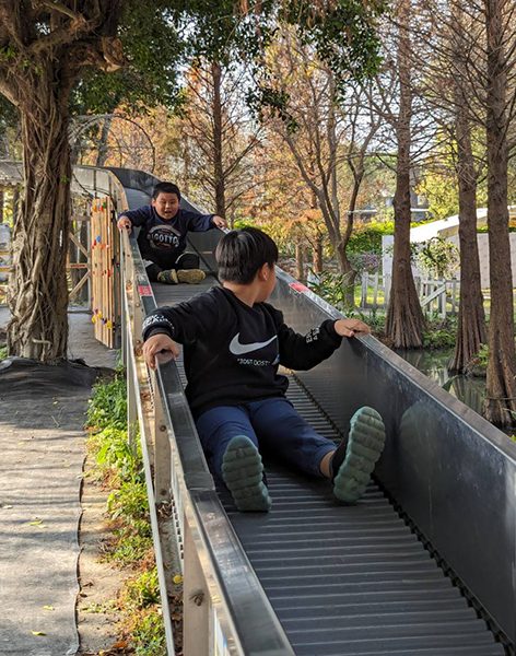 親子夏日活動：探索沐卉農場的樂趣與親子旅遊選擇