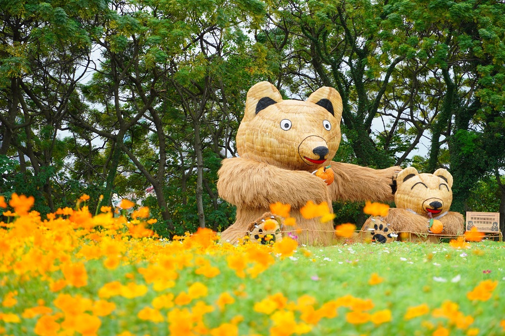 關渡花海的迷人景致與介紹