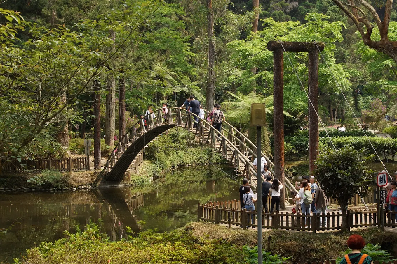 溪頭森林遊樂區的5個必玩景點｜發掘台灣第一美景的完美攻略