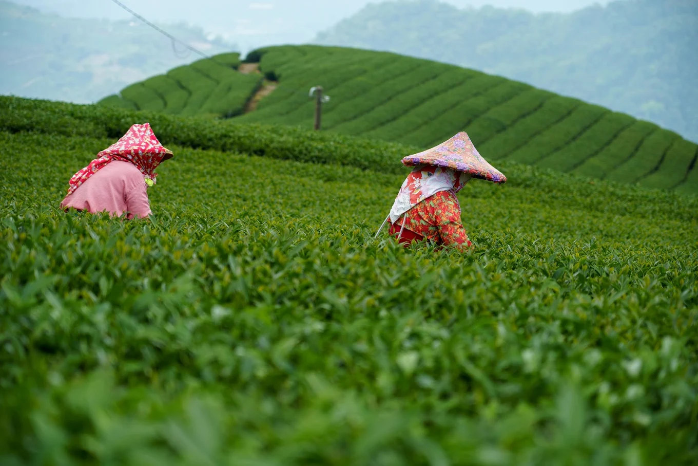 台灣十大必訪絕美景點：從湖光山色到夢幻飛機景，開啟你的探索之旅