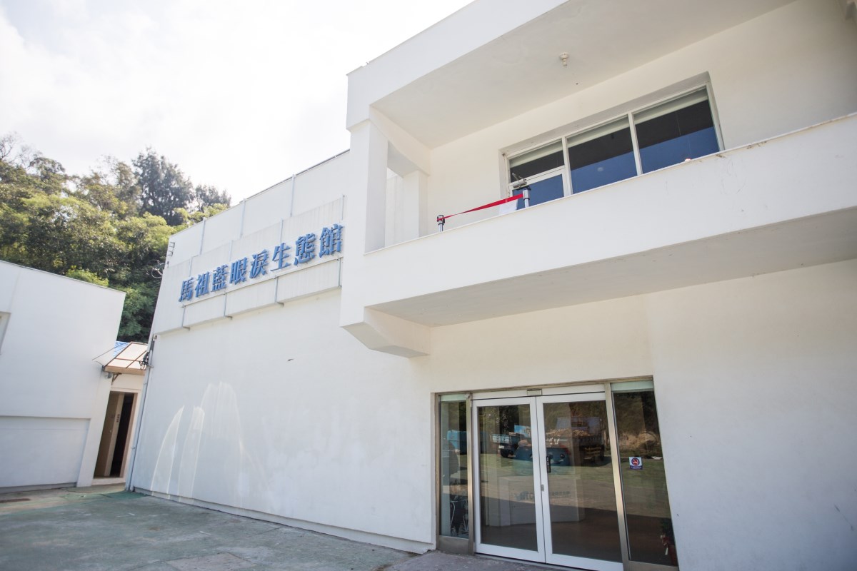 藍眼淚生態館的探索與美景:你的最佳旅遊指南