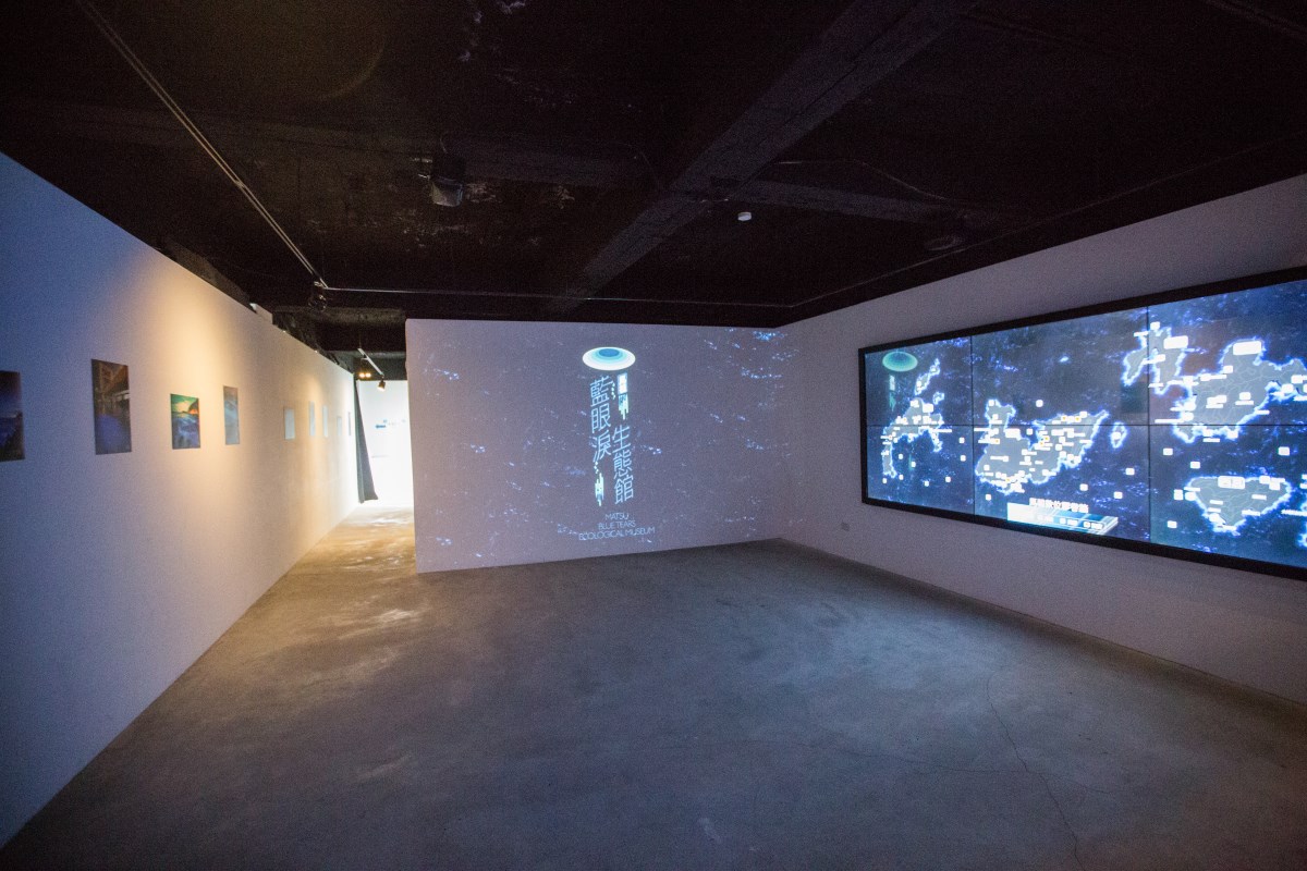 藍眼淚生態館的探索與美景:你的最佳旅遊指南