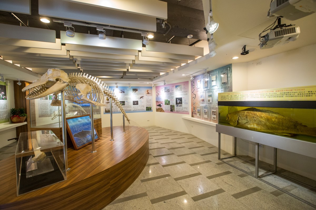 藍眼淚生態館的探索與美景:你的最佳旅遊指南