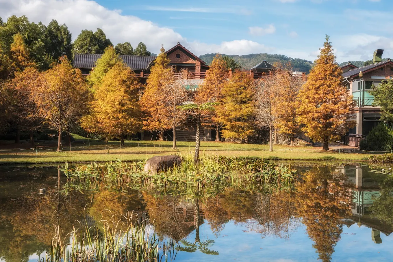 新竹峨眉＋北埔住宿推薦｜精選5間民宿與山林秘境旅宿，享受自然慢活時光