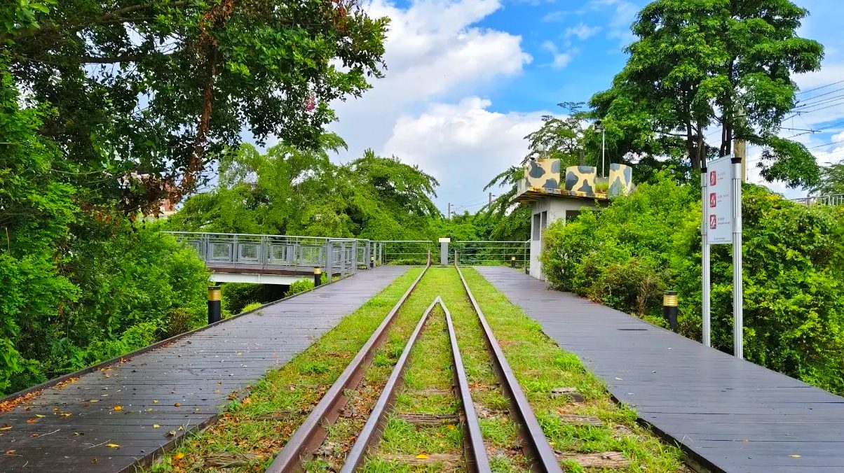 屏東舊鐵橋一日遊攻略｜探索百年鐵道、拍照打卡與濕地生態之美