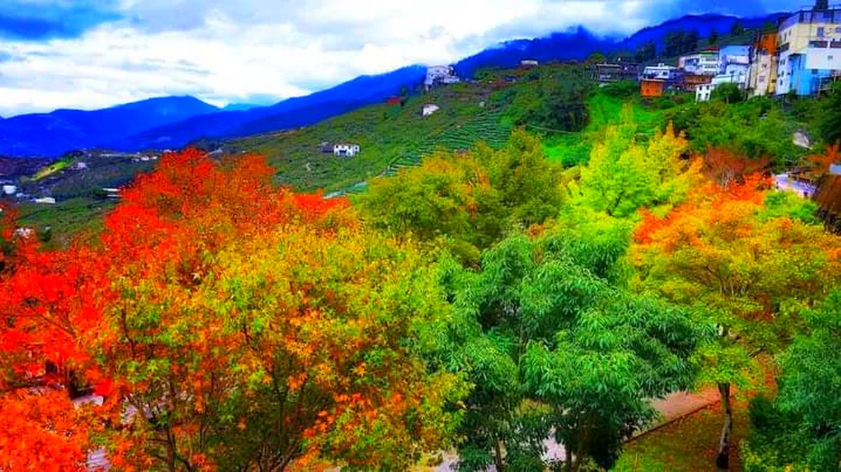 梨山賓館 ｜高山賞櫻住宿首選，體驗宮殿風建築與壯闊自然