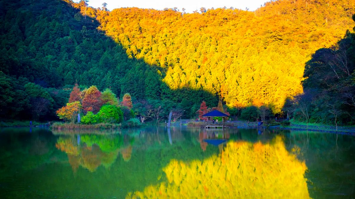 【宜蘭避暑首選】力麗馬告生態園區明池山莊全攻略｜房型推薦、必吃美食、體驗活動一次看