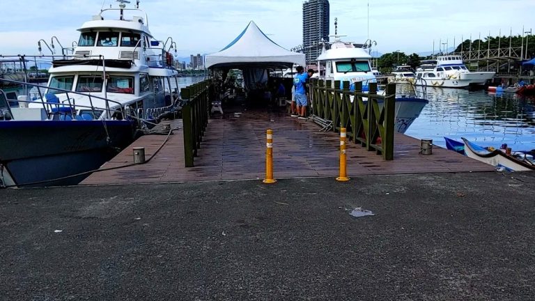 宜蘭龜山島賞鯨｜探索新福豐36號的奇妙海洋之旅