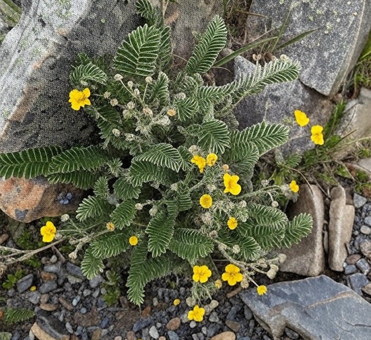 🏔️ 雪山主峰單攻攻略:登山裝備、住宿推薦、攝影秘境一次掌握!