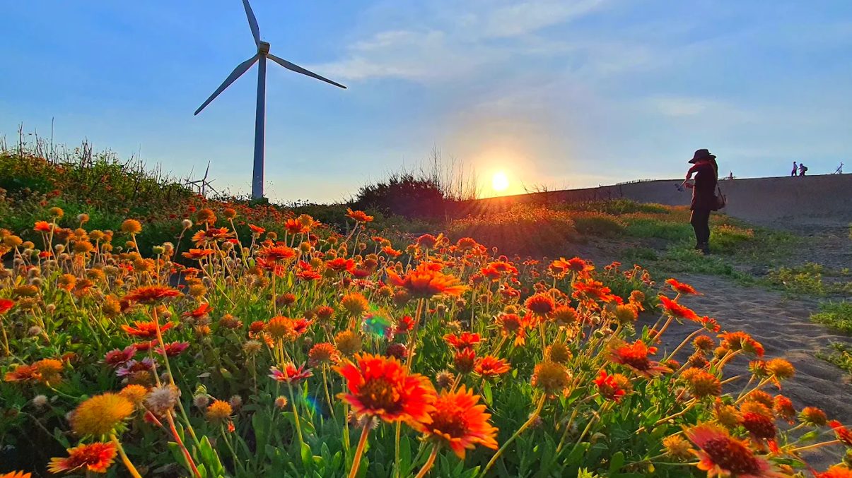 桃園觀音草漯沙丘全攻略｜漫步台版小沙漠，探索3大觀景步道與絕美夕陽