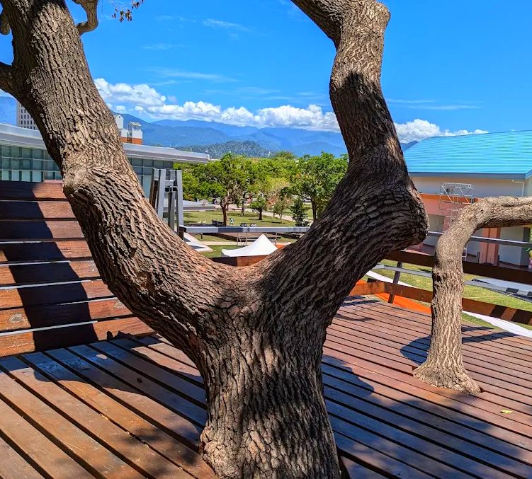 探索臺東美術館：藝術與自然的完美結合