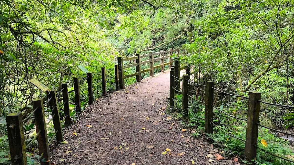 探險馬胎古道：完美的健行與自然體驗