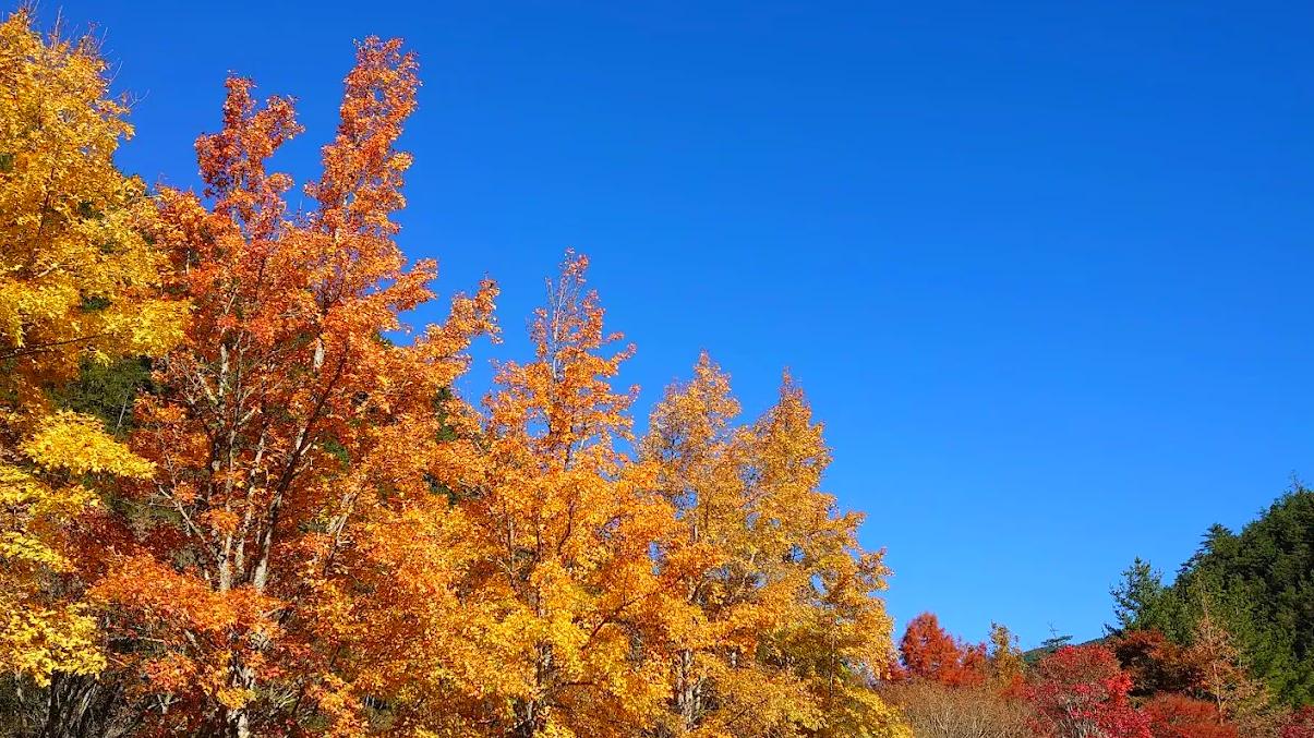 武陵農場的魅力：探索台灣最美的田園風光