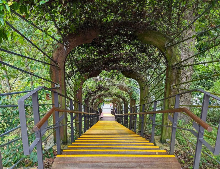 🌲知本國家森林遊樂區一日遊｜台東山林步道×溫泉美食×住宿推薦全攻略