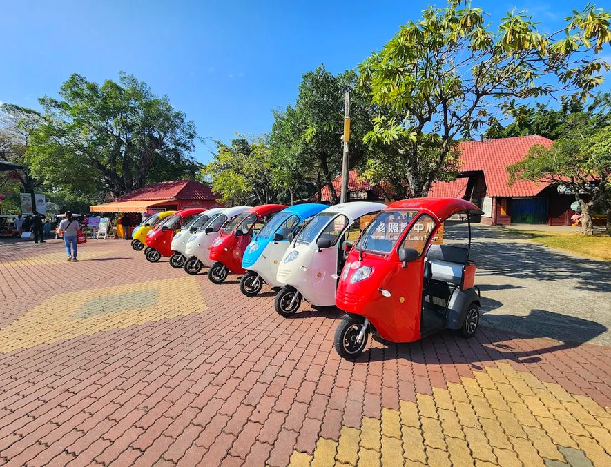 台南親子景點推薦｜頑皮世界野生動物園：企鵝、袋鼠互動體驗一次滿足！