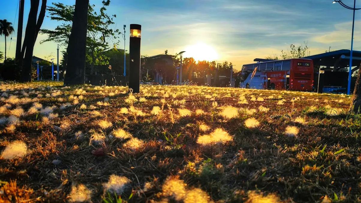 東港一日遊推薦！探索東港五大必訪景點｜自然美景、海鮮市場與宗教文化一次體驗