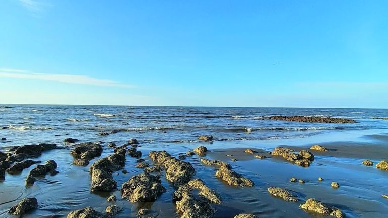 【2025觀音草漯沙丘旅遊全攻略】風車沙丘、浪漫海景、打卡熱點一次掌握！