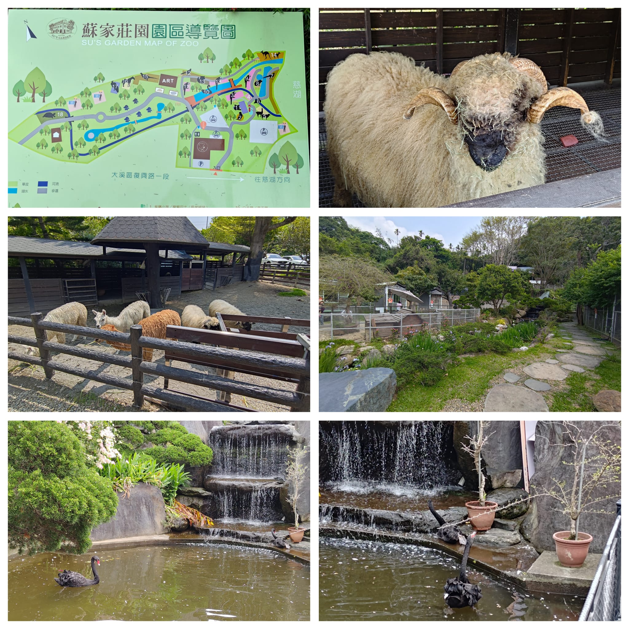 蘇家莊園：親子同樂的完美度假勝地