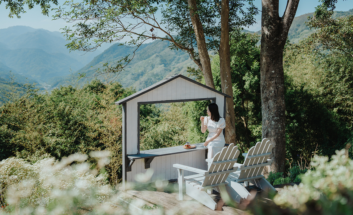 薰衣草森林：探索台中的夢幻花海與天然療癒之地
