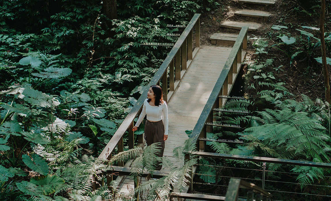 薰衣草森林：探索台中的夢幻花海與天然療癒之地