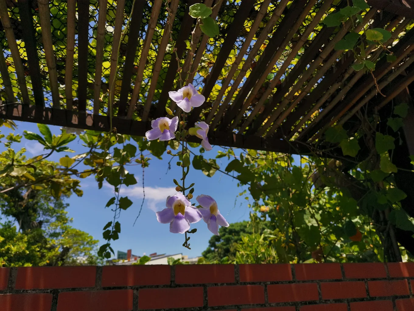探索台灣感性小鎮：最美麗的隱藏版旅遊景點