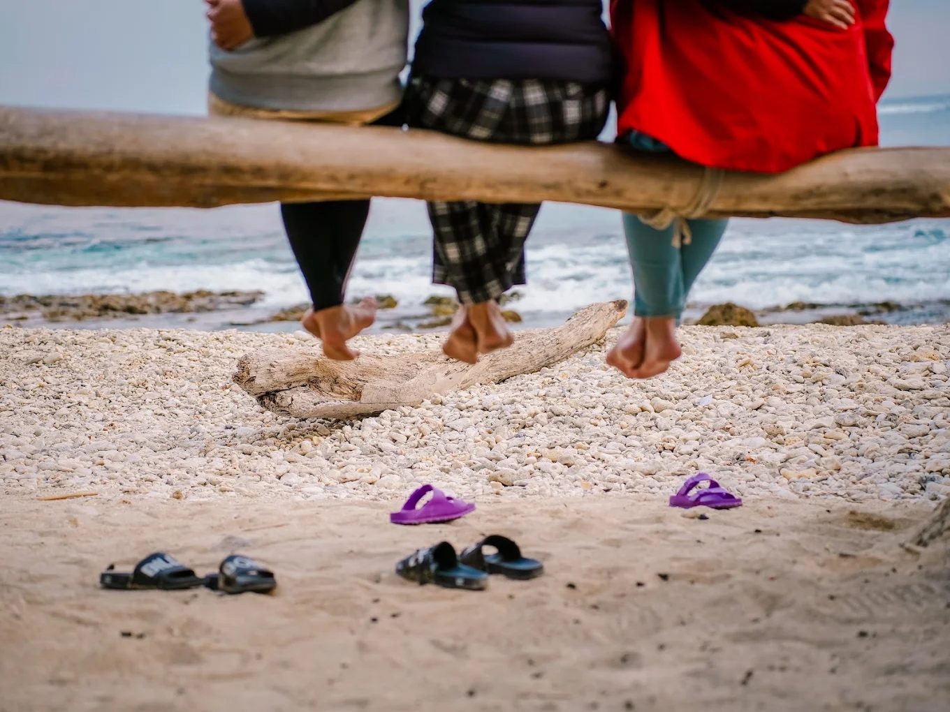 圖／網美老木  攝影／陳心彤（Ash）