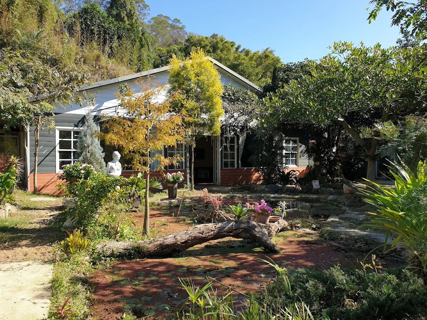 🏡 新竹峨嵋住宿推薦｜鳳姊莊園民宿與4間絕美秘境，感受自然、藝術與人情味！