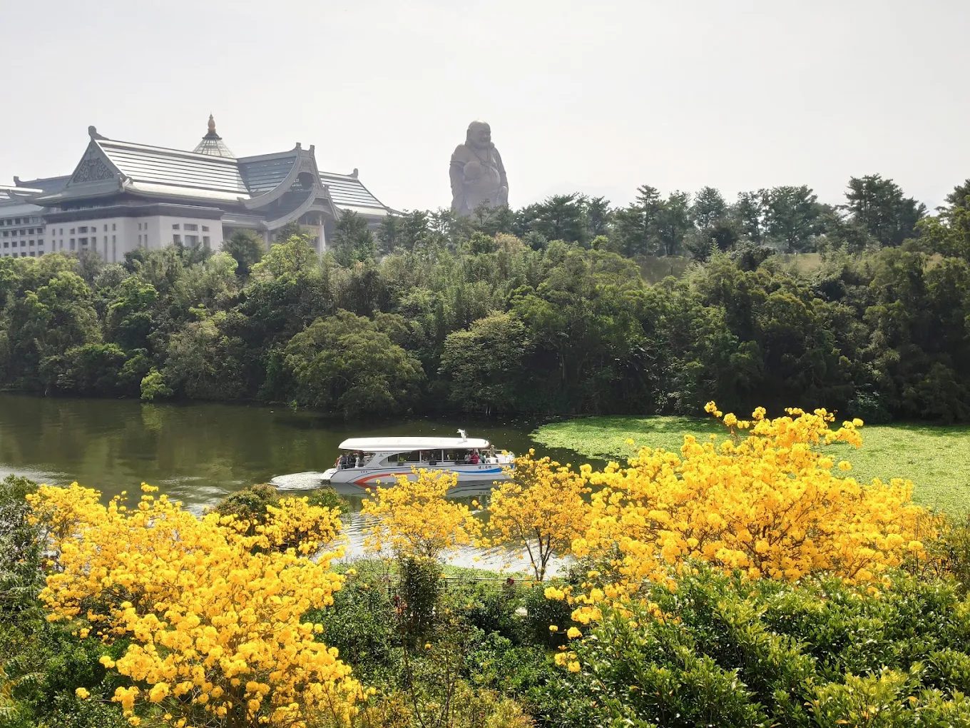 🏡 新竹峨嵋住宿推薦｜鳳姊莊園民宿與4間絕美秘境，感受自然、藝術與人情味！