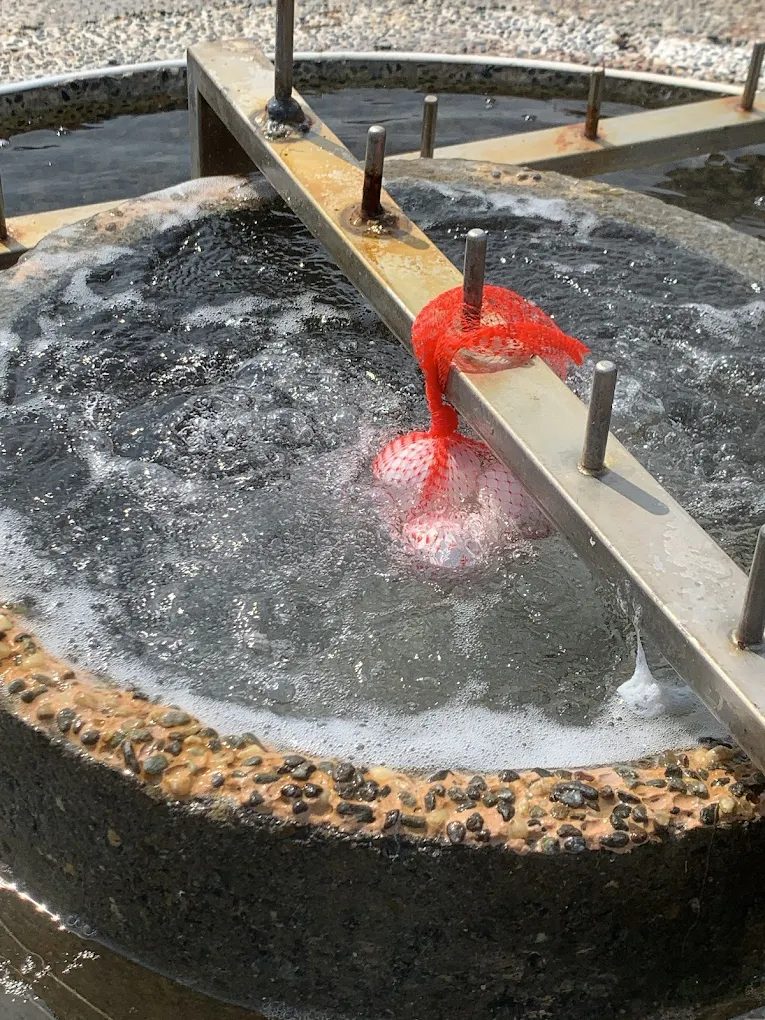 綠島自由行全攻略｜潛水溫泉景點一次看懂，享受最美海島假期