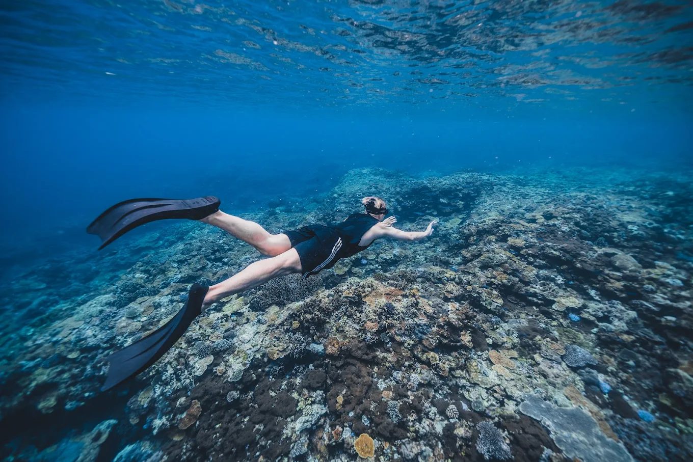 綠島自由行全攻略｜潛水溫泉景點一次看懂，享受最美海島假期