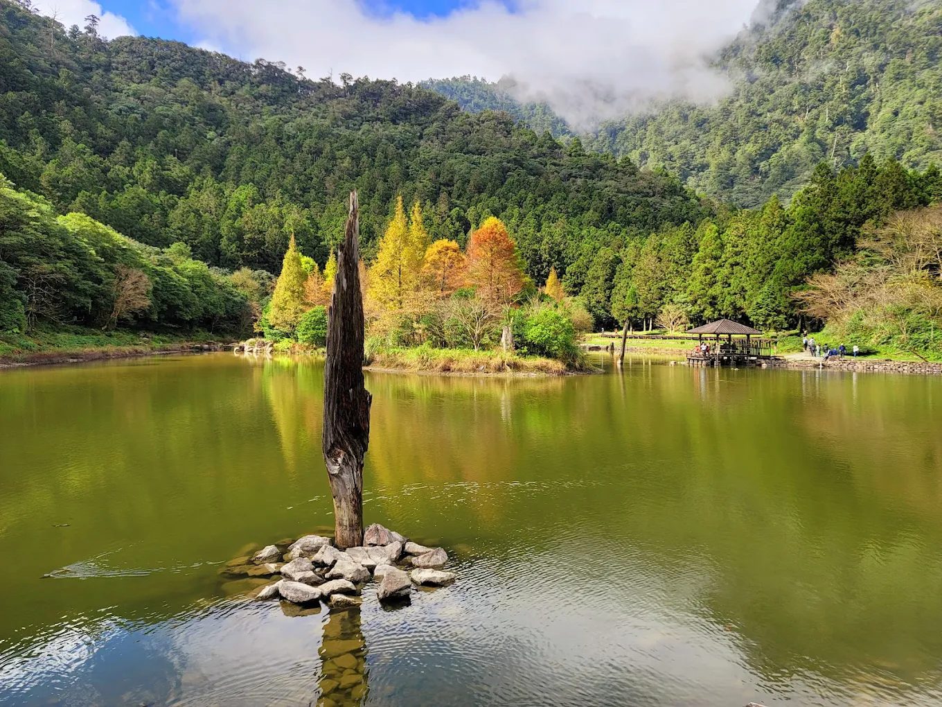 明池森林遊樂區一日遊全攻略｜漫步山林、湖畔療癒行程推薦