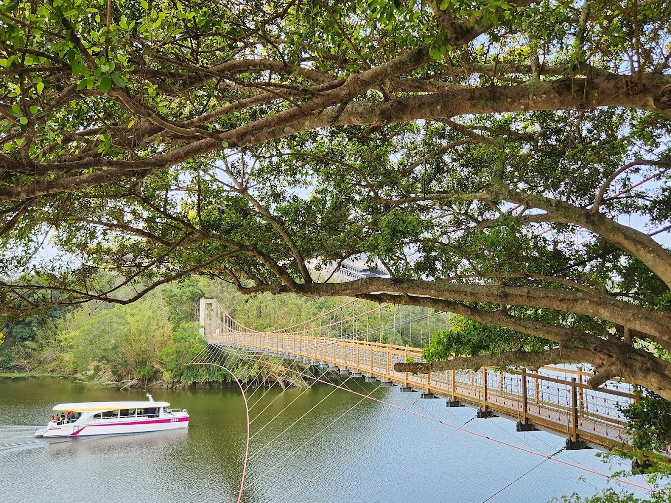 圖／細茅埔吊橋 攝影／elle Chang