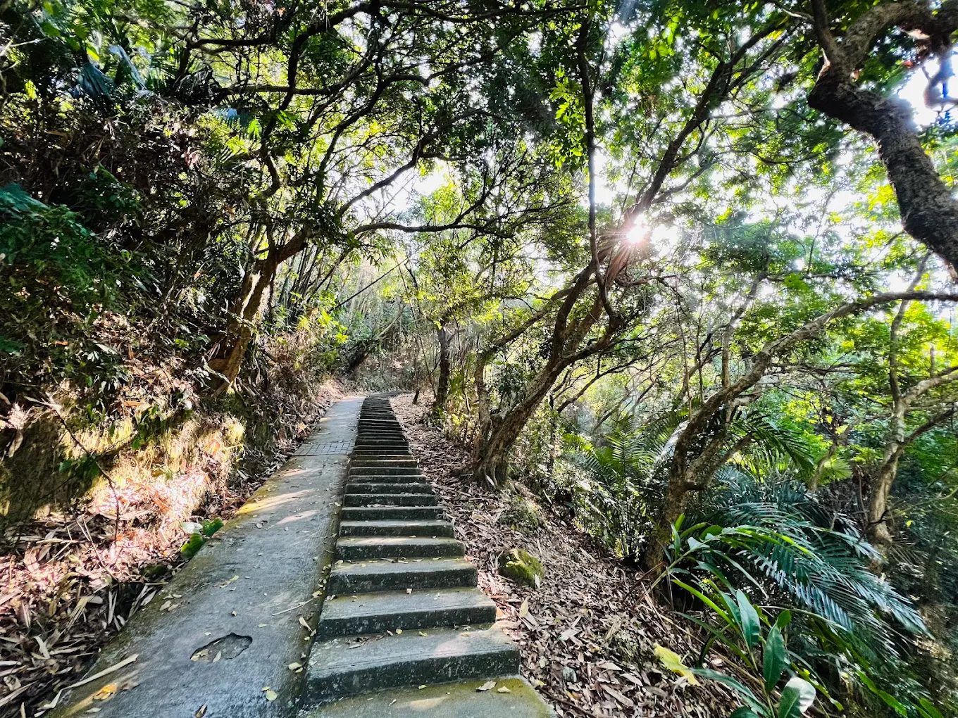 台北步道：探索城市中的必走秘境