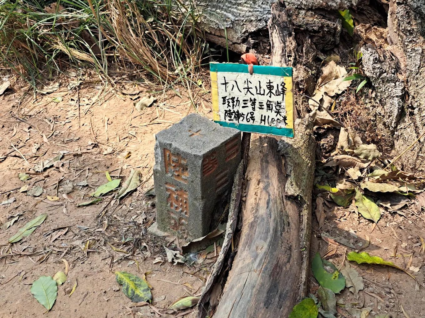 新竹十八尖山步道風景,綠樹成蔭