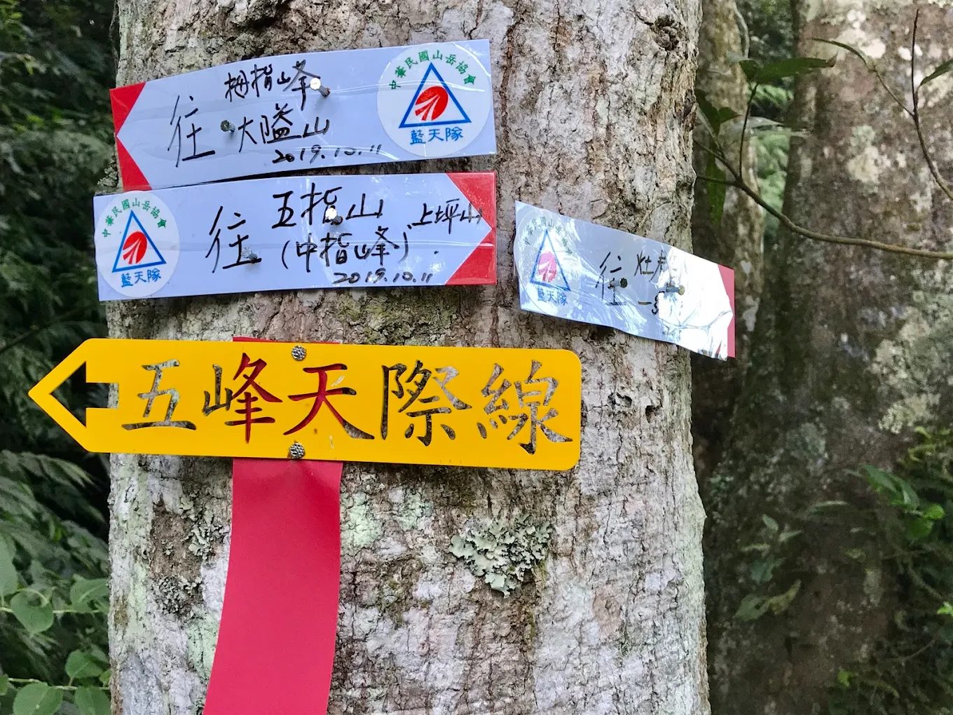 五指山橫向步道,雲霧繚繞如同仙境