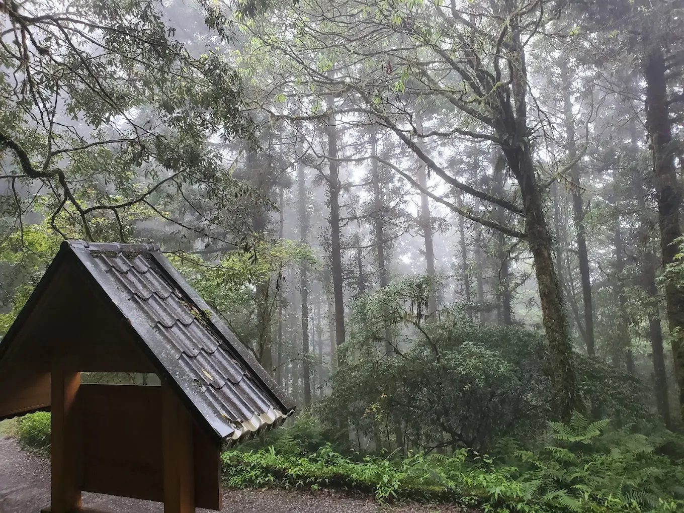 【宜蘭明池】力麗馬告生態園區明池山莊住宿攻略｜森林系旅宿、原住民美食與文化體驗一次滿足！