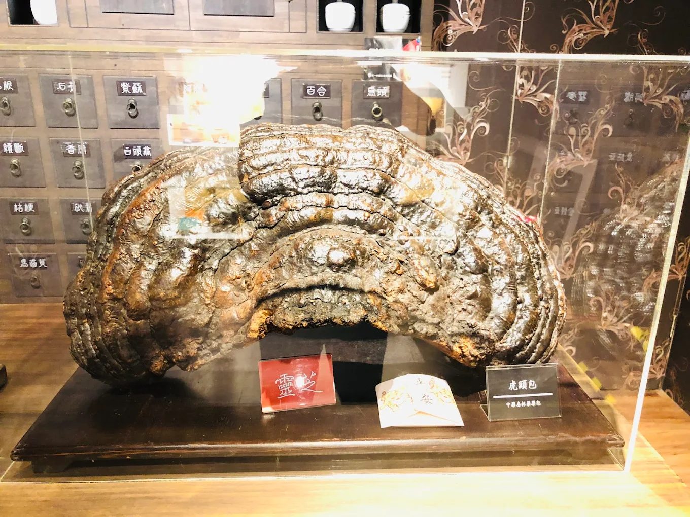 台南親子一日遊全攻略｜精選5大互動景點，讓孩子玩中學、學中樂！