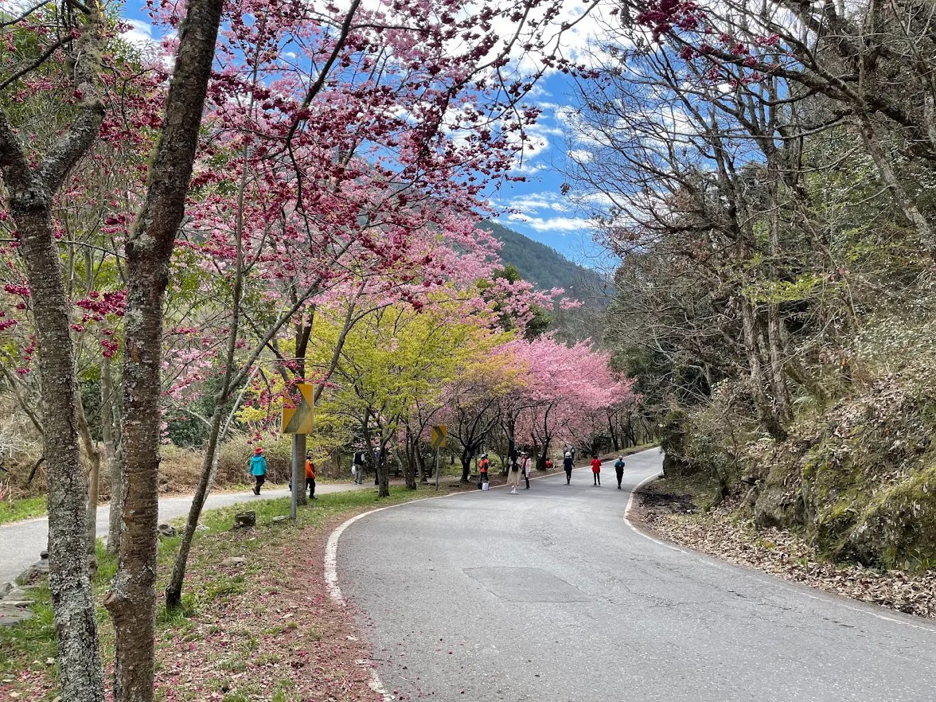 雪霸國家公園旅遊指南|享受台灣最美的自然風光