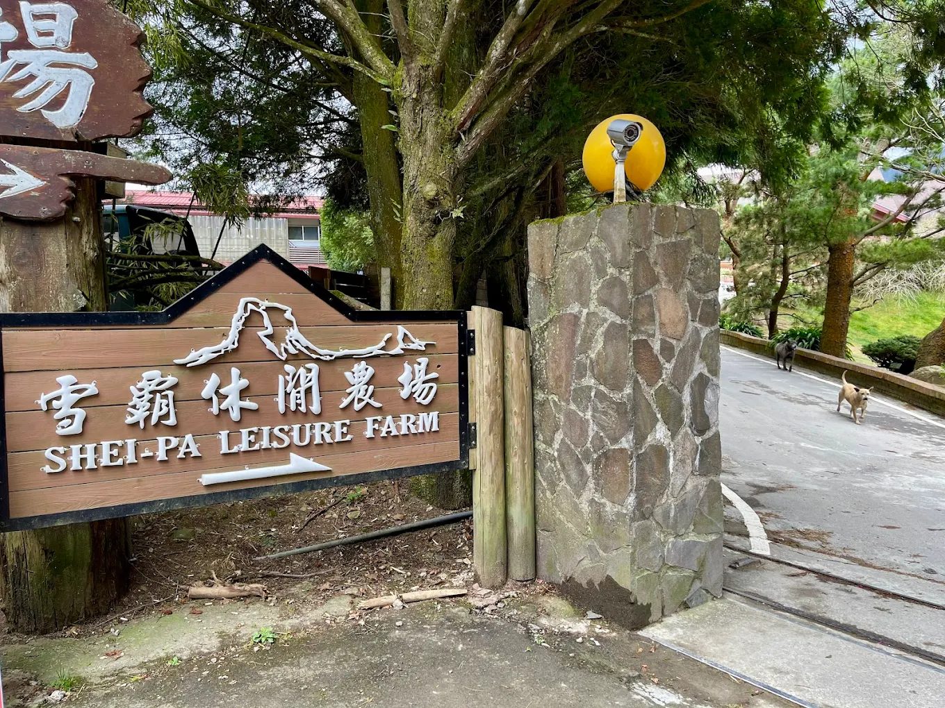 雪霸國家公園旅遊指南|享受台灣最美的自然風光