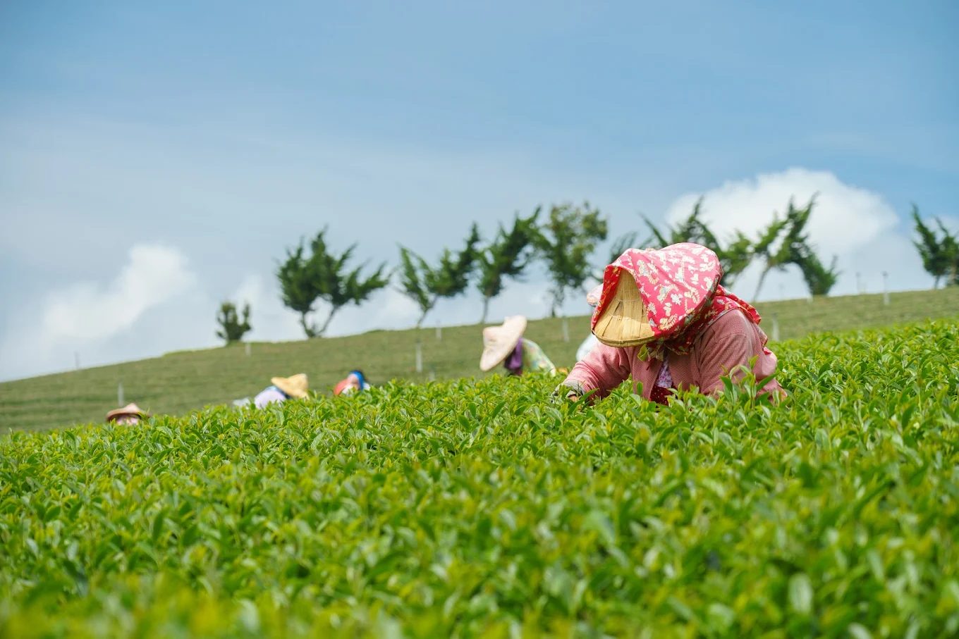 台灣十大必訪絕美景點:從湖光山色到夢幻飛機景,開啟你的探索之旅