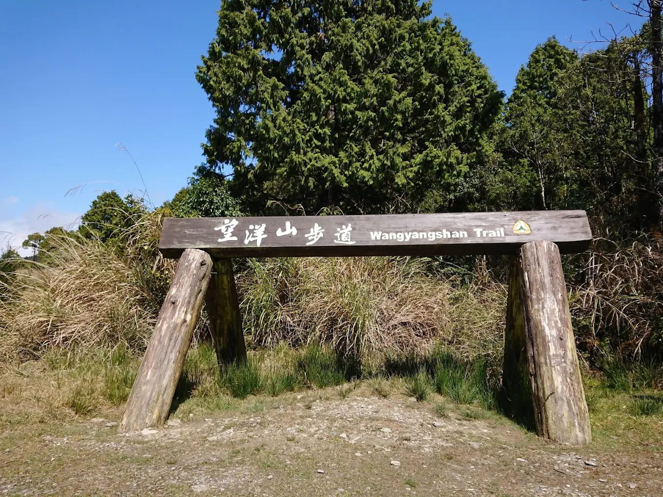 探索望洋山步道：觀日秘境、登山技巧與朝陽步道串聯玩法全攻略