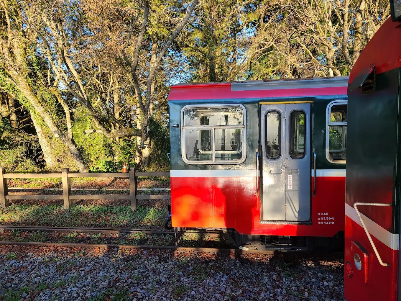 阿里山一日遊怎麼玩？深度行程這樣排最順