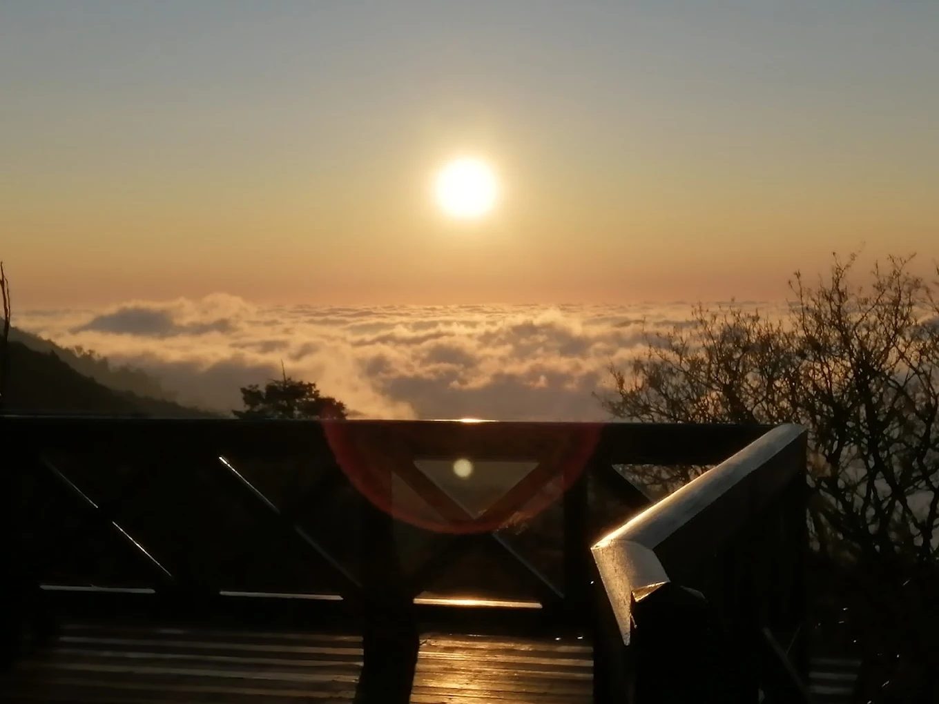阿里山一日遊怎麼玩？深度行程這樣排最順